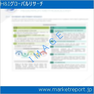 市場と産業調査レポートのイメージ